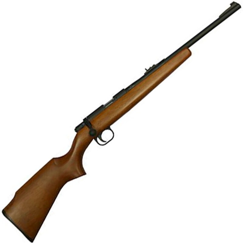 RIA M14Y 22LR YOUTH 10RD - Win Repeating Arms Promotion